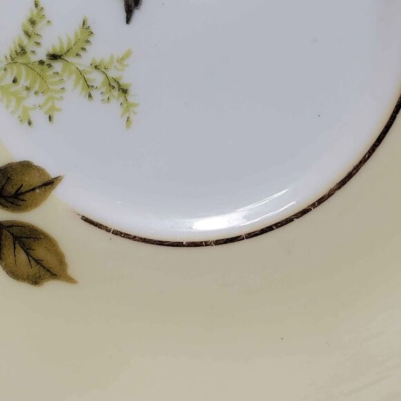 Royal Sutherland Teacup and Saucer Yellow Roses Vintage - Picture 8 of 10